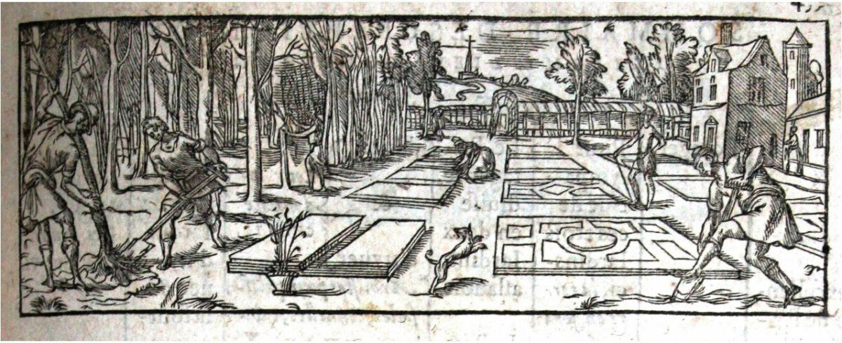 Illustration taken from the book: “Theatre d’agriculture et mesnage des champs” (Olivier de Serres, co-lord of St-Montan)